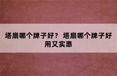 塔扇哪个牌子好？ 塔扇哪个牌子好用又实惠